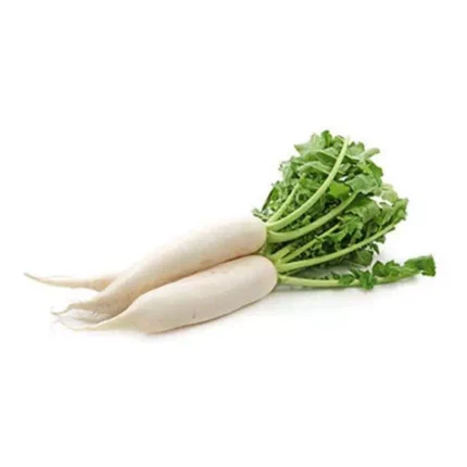 NAVET LONG – اللفت الطويل