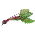 BETTERAVE AVEC POUSSE – باربة ربطة