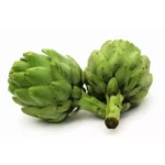 Artichaut – القوق