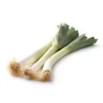 POIREAU – بورو