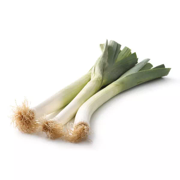 45-Poireau-1.webp POIREAU – بورو – Image 1