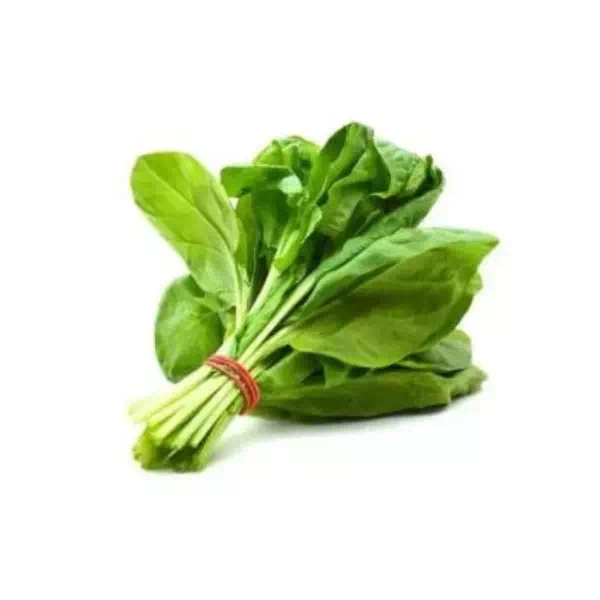 46-epinard-1.webp EPINARD – سبانخ – Image 1