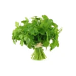 CORIANDRE – القسبر