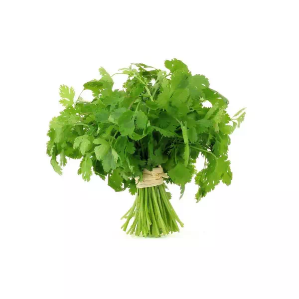 68-coriandre-1.webp CORIANDRE – القسبر – Image 1