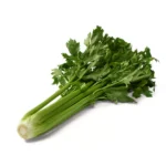 CELERI BRANCHE – كرافس