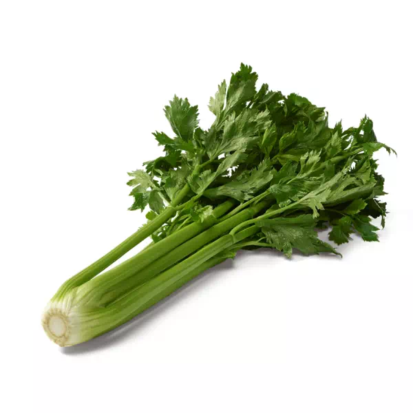 70-celeri-1.webp CELERI BRANCHE – كرافس – Image 1