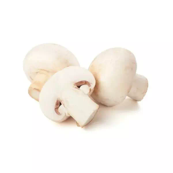 Champignons-de-Paris-1.webp Champignon De Paris – الفطر – Image 1