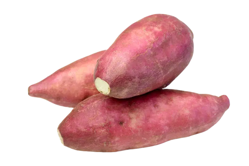 patate-douce.webp PATATE DOUCE – بطاطة حلوة – Image 1