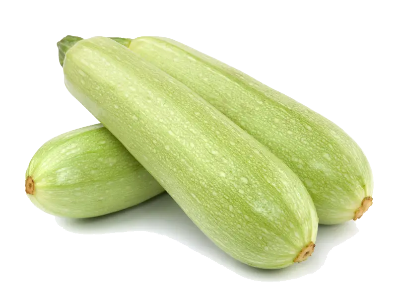 pngegg.webp COURGETTE – تخريفينت – Image 1